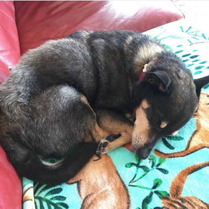 4a4fe316 8936 430f a62f 8fd26aed22ef 1763677081935