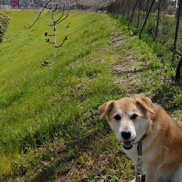 4a4ff5d2 2df4 4880 beee db5af41c7376 1584588024521