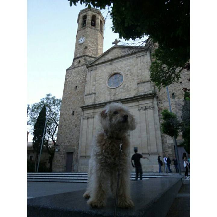 4a5014f8 1587 4118 8922 87141ad37cf8 1589297837182