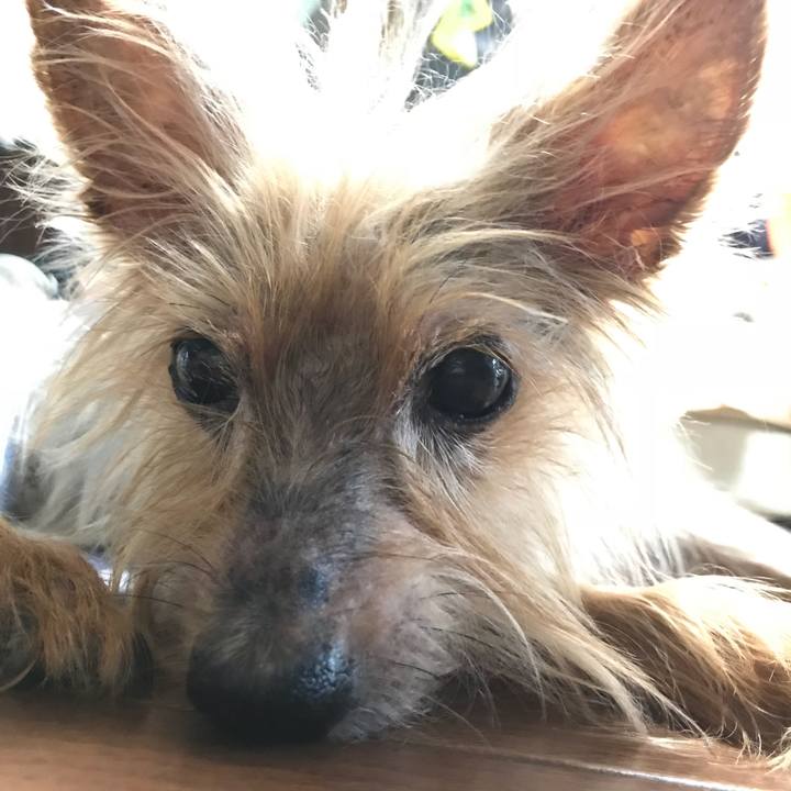 4a5022b7 d771 40da ab0e 0beb2a83bcfa 1537570489309