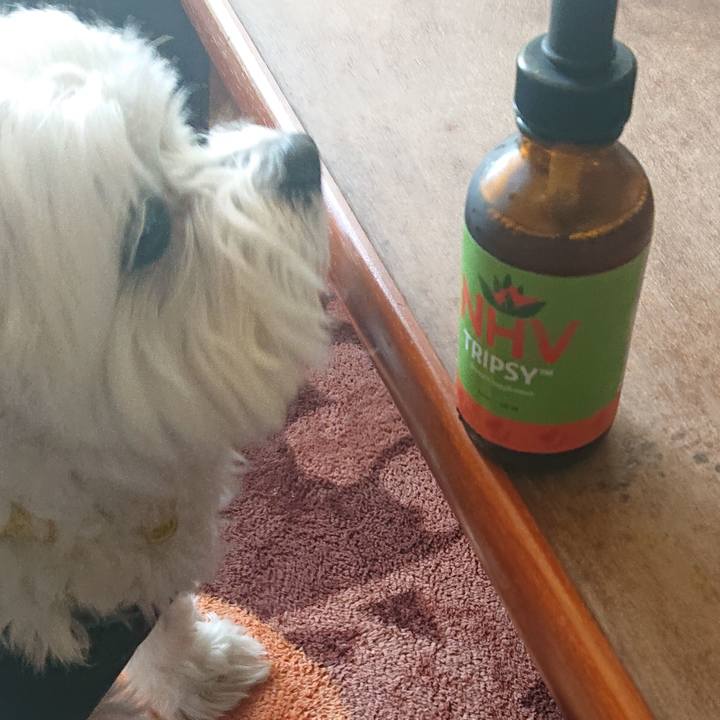 4a5022f7 8d9b 407c 8bf2 4a8907337793 1620091287979