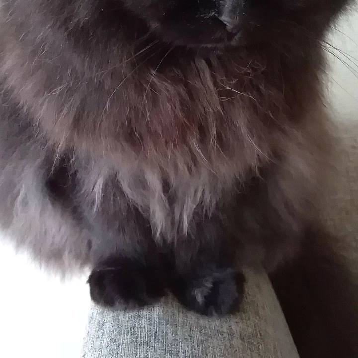 4a504df6 632a 4622 8457 e3b50e6dd23c 1708576785867