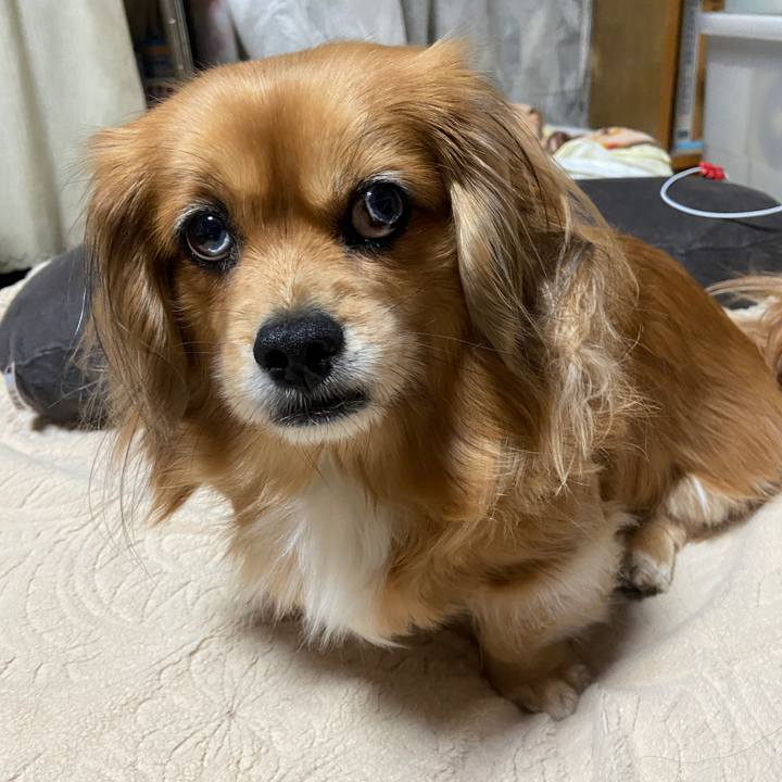 4a5058e1 6623 498f 9025 6a3bf06c7e97 1674164095997