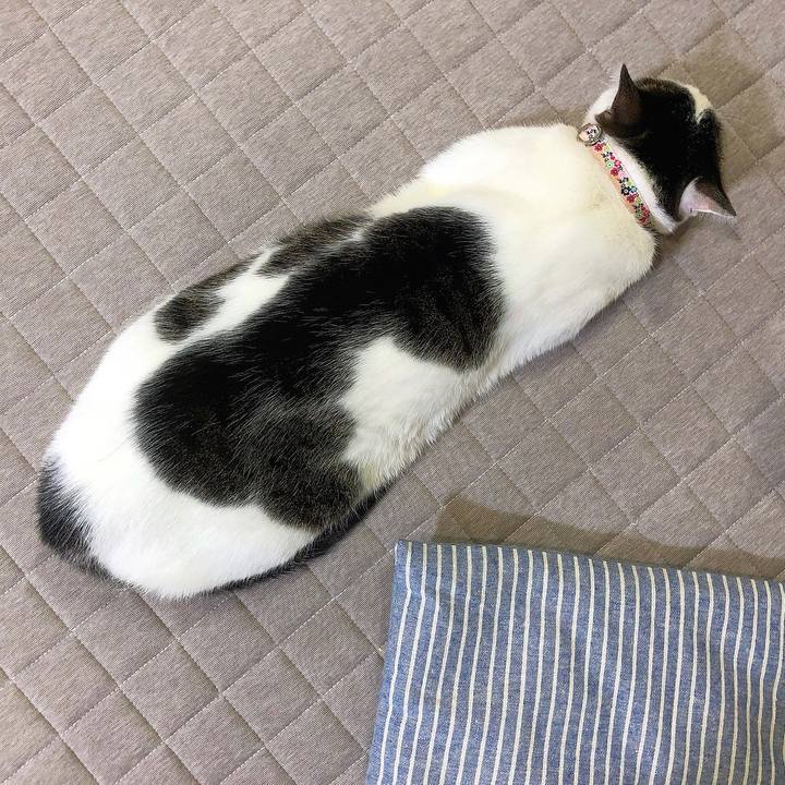 4a506eb5 bbcb 4cf9 adda 994a198a4be7 1637152493691