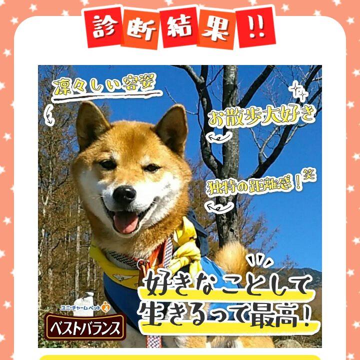 4a507b37 5cd2 477d 88d7 45bba3e2cf3e 1541518299078