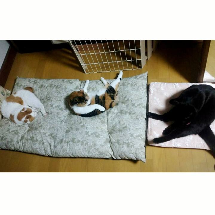 4a508df5 b17f 4de7 83b7 b6ccd0801f8a 1540115559339