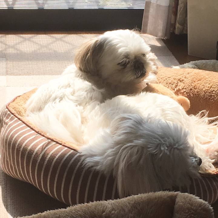 4a50b97d 25a2 4022 ad05 aed6e2890452 1520915477878