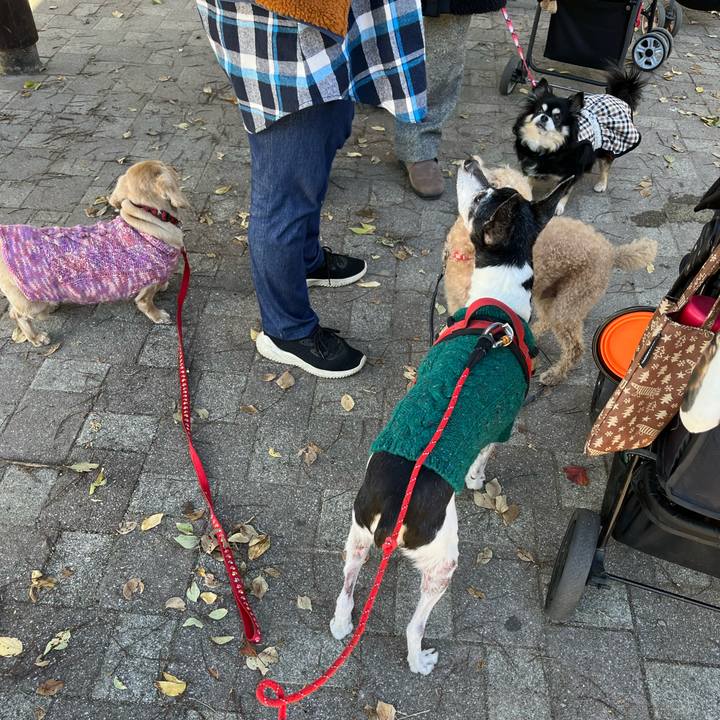 4a50bf24 2a82 4c8c 98c0 bca33fca30bc 1638068794409