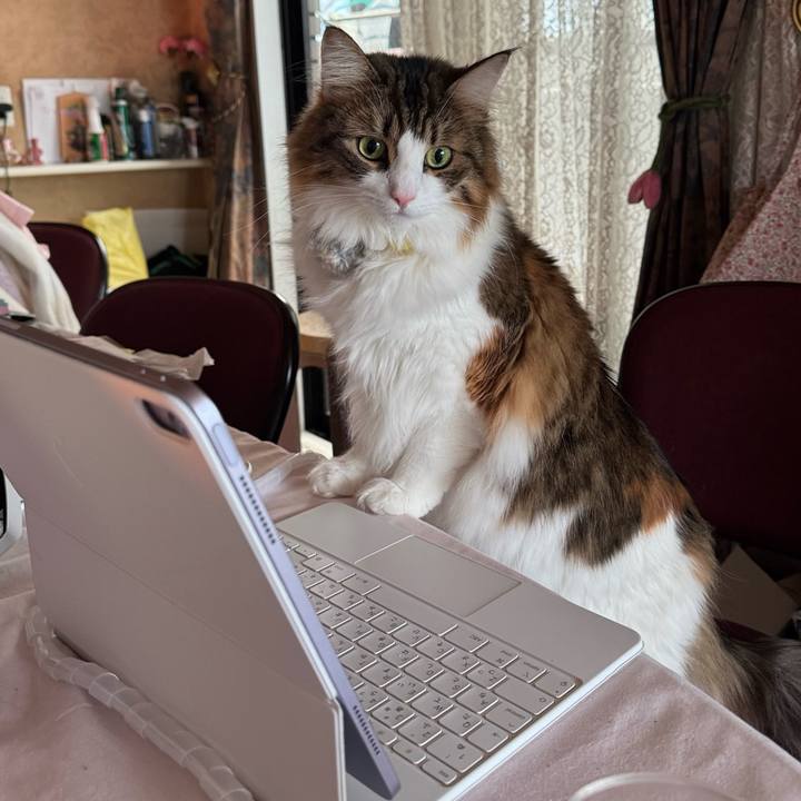 4a50bf87 696d 44d3 b9f4 d845a0e3326f 1766968370283