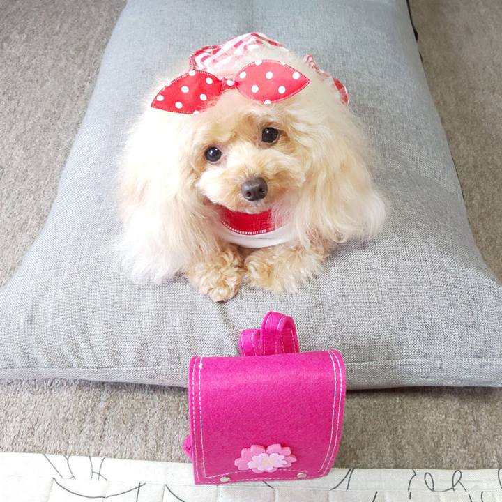 4a50c1d6 7c39 41b8 9459 8cbd5c441e7b 1568379664564