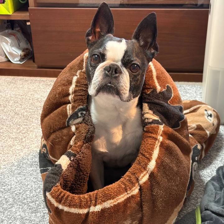 4a50c457 ae75 4e5d bc5a e901e32586ee 1774404897273