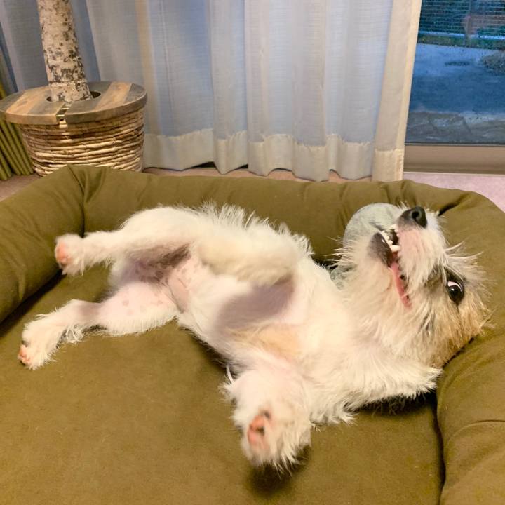 4a50c8ce 229d 4ef5 8f4b ecc3154191a7 1570870232721