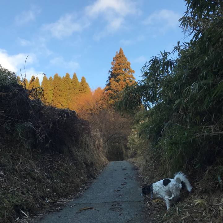 4a5136a8 1030 498d 9c36 edb07b051d0e 1520141686432