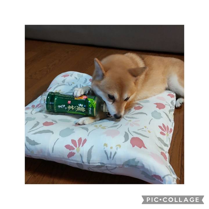 4a514dca ebc2 44f4 b54d 28c45dfc677b 1728517392056