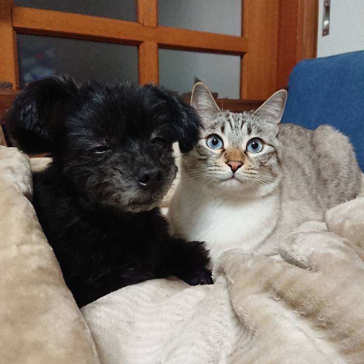 4a516504 19f2 4df8 b06f d1b200694314 1550494073408