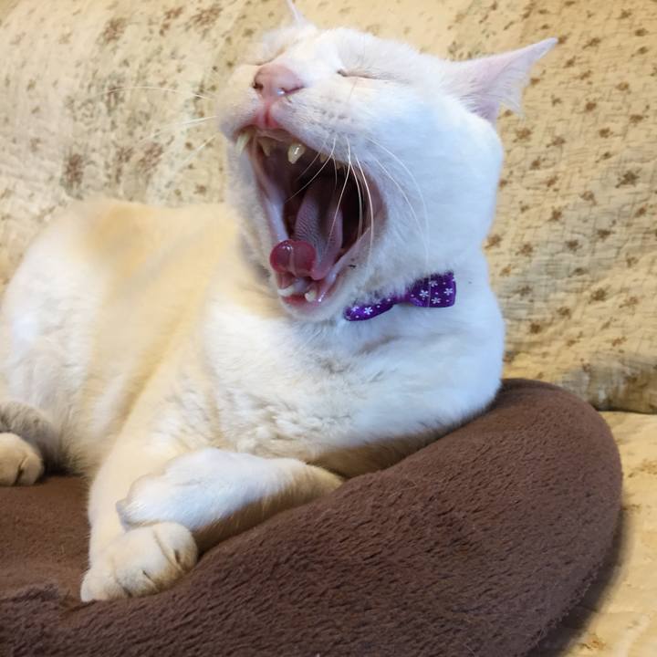 4a5199be 00df 4d57 a3c8 d6247c6f71a9 1560465342408