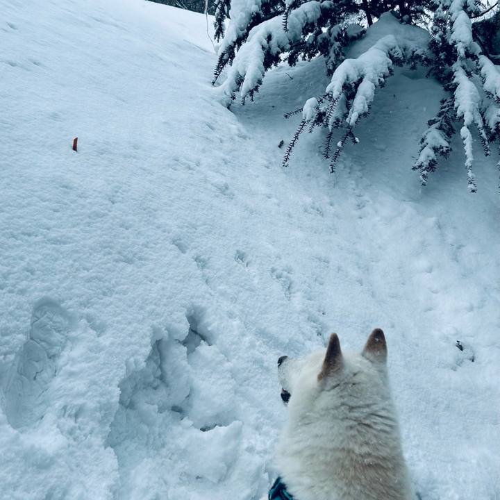 4a51b0dd 7b21 4114 a87d f9b21c061912 1739488224600