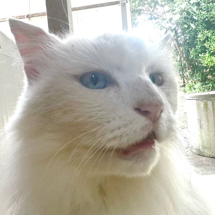 4a51e1ba ad3d 4faa 8235 91ce13c73705 1760232756632