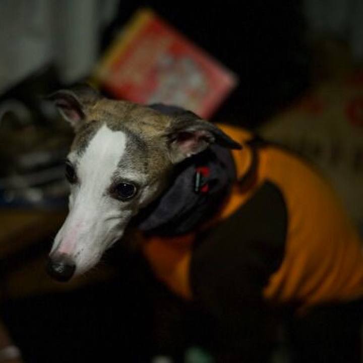 4a51ff92 670c 458c a5d6 05baac860441 1511954139087