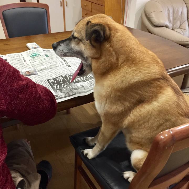 4a5249d3 7872 4047 bd10 295da0c68ff5 1518651951026