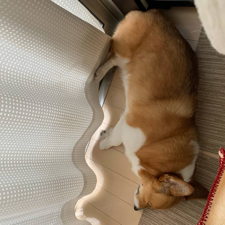 4a524a9d 281f 4371 97b8 1c4f02f4dc7e 1590470342207