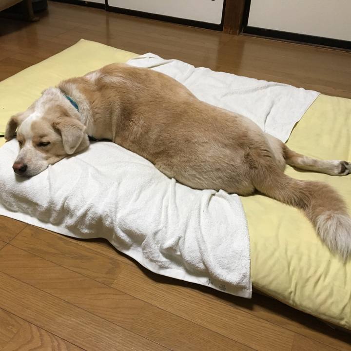 4a524eb1 53cb 4076 bfc9 e9ac40b6aec7 1535464969312