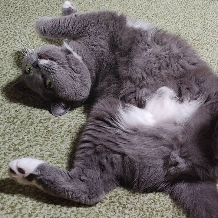 4a52829f c6e9 4fea 8de0 530f10346f3a 1727875357453