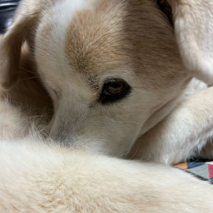 4a52ac3b cd35 476d b888 1fabaf2b9914 1699619586389