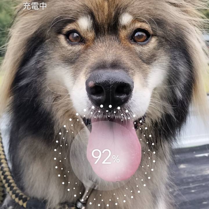 4a52b19e 1dad 4df4 8040 823562d0fe79 1667437145775