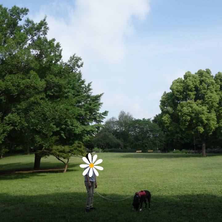 4a52eaf8 8444 4f92 912e 302eecd07ac6 1684753452691