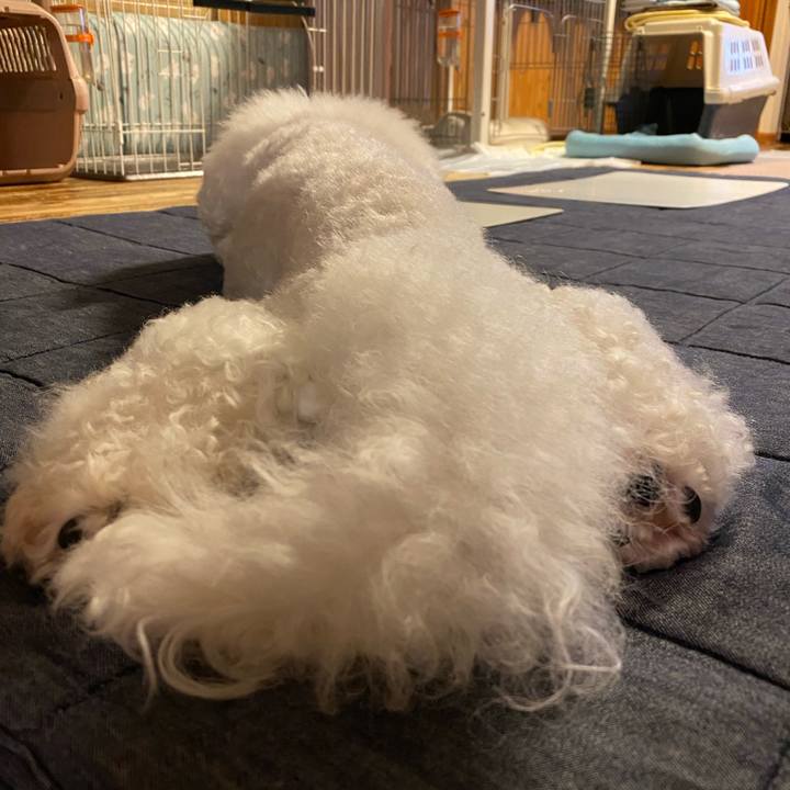 4a52eb26 bbd0 4e20 82cb 9b4e95e8cd86 1658744699385