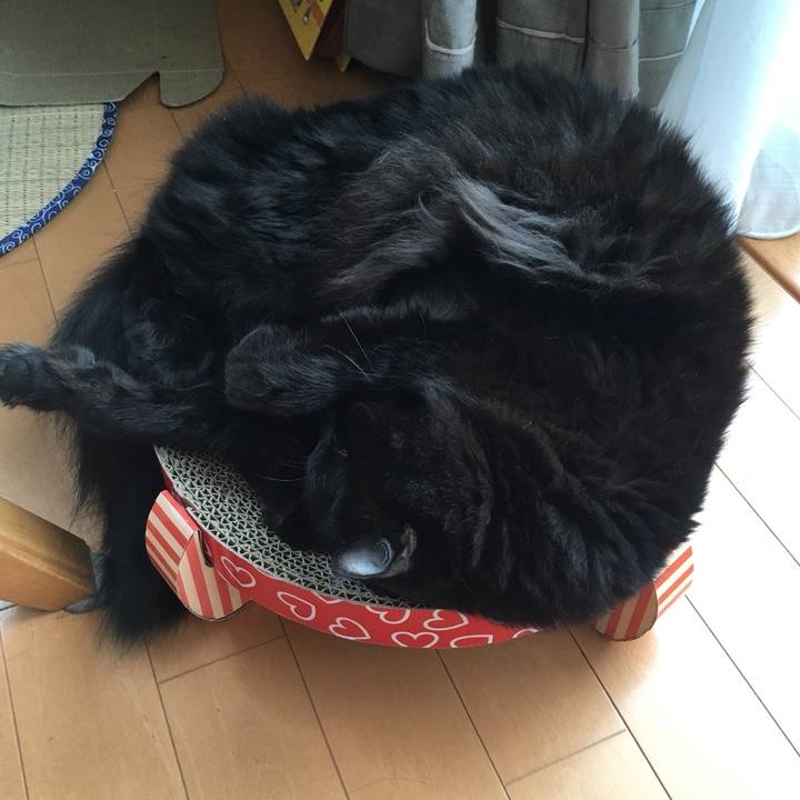 4a530b0a 21b4 432d a95c 191f57bf7055 1536810316040