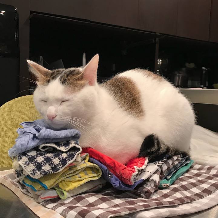 4a5326a7 f0d1 486d 813f 502186149cd5 1510397016502