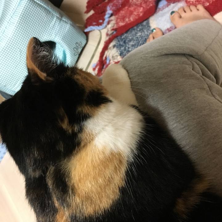 4a538ff9 c345 4b0e b934 ce7f98043dc8 1519480013641