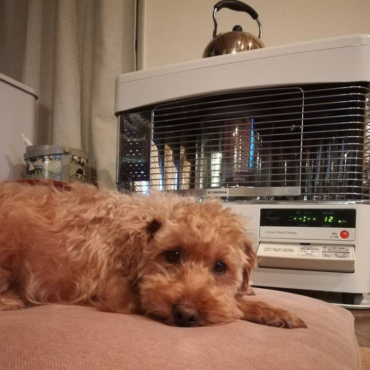 4a53b575 807f 445d a29f f2dc8a072edf 1549574189161