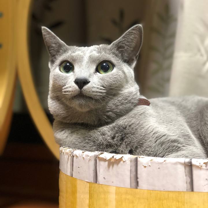 4a53e88b 1115 4e95 86a3 94292b6b997f 1543757267216