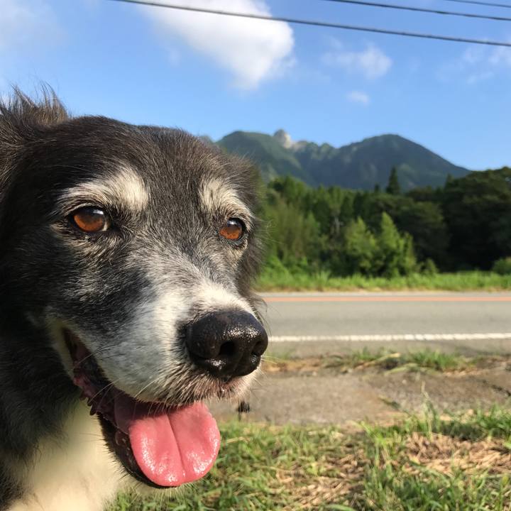 4a540db9 092b 4ca5 9f1e 00b341b207ed 1534583253793