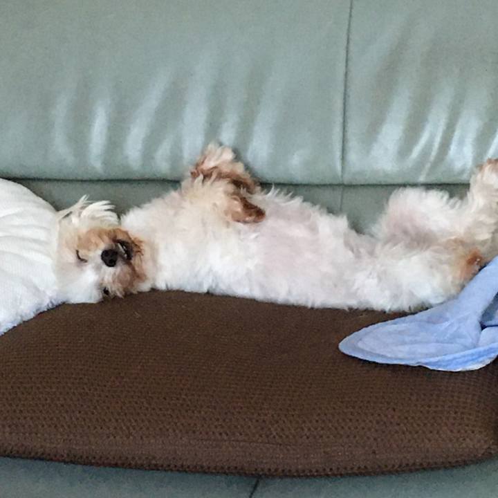 4a543ee1 de3d 4931 8dc6 f609a7c51a60 1627802744615