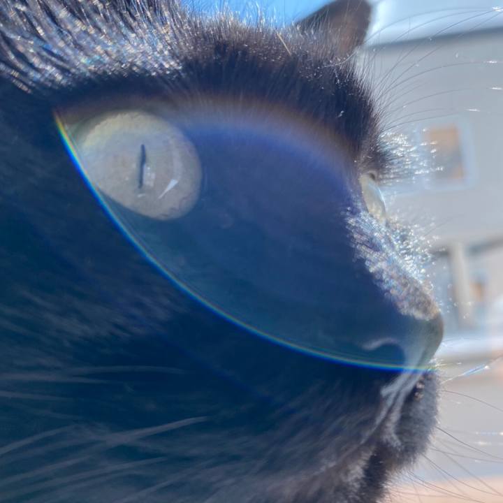 4a5463cd b9b1 438d 8de2 72bb145861df 1584682119734