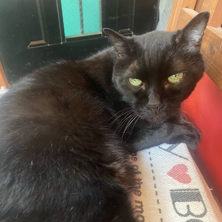 4a546c8f f74d 478c 9737 0133f9019886 1758985398972