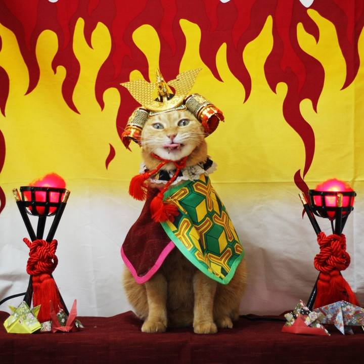 4a54994d 960a 4337 b086 abd8a39898c8 1619656174655