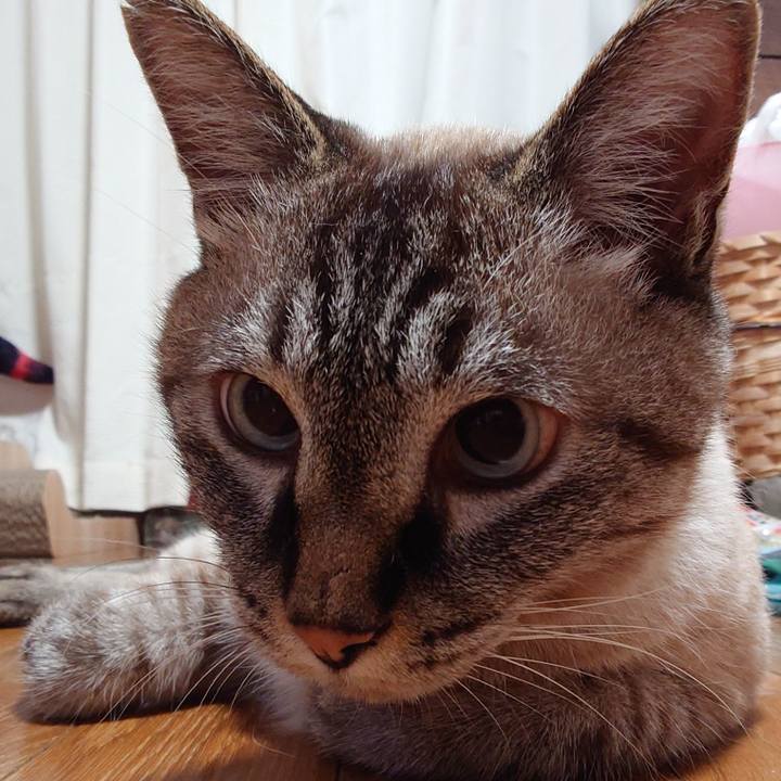 4a54d968 6d8b 42c5 aea4 2e6e68842b49 1723119347172