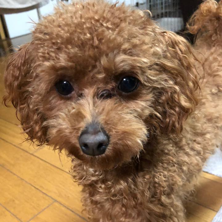 4a550e08 ea9f 4f8f 8742 fcc845a81e17 1521335108454