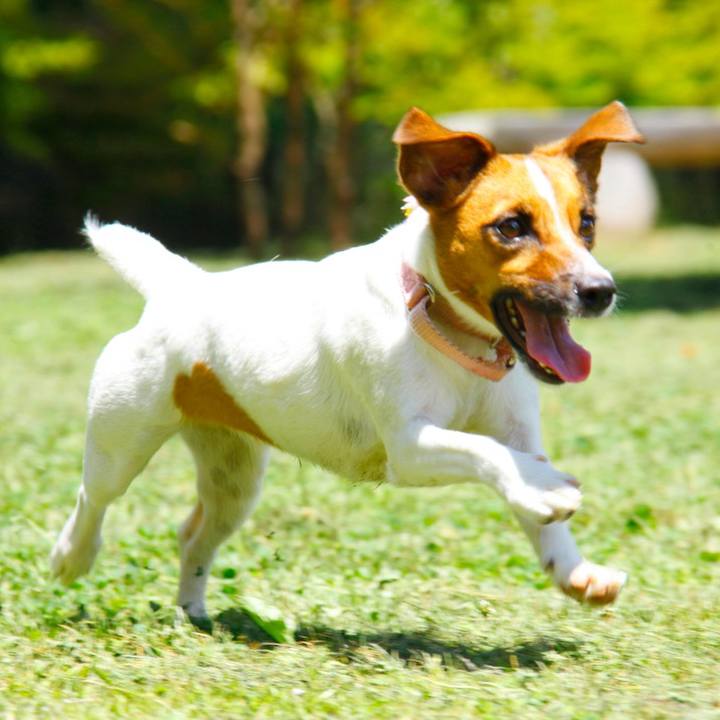 4a553528 a17b 421c a785 f6b0870219ab 1758721669336