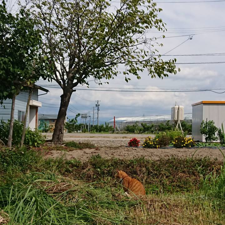 4a55a47c ae96 48b3 8f5d 88d01e545da6 1600660121484