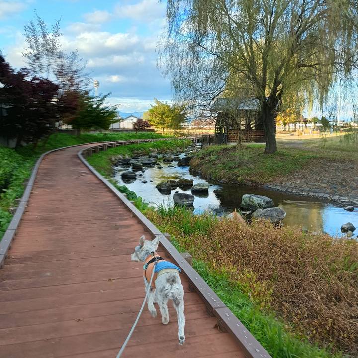 4a55d2ab efd4 4bfe abc5 7ab35e7e8376 1763555417992