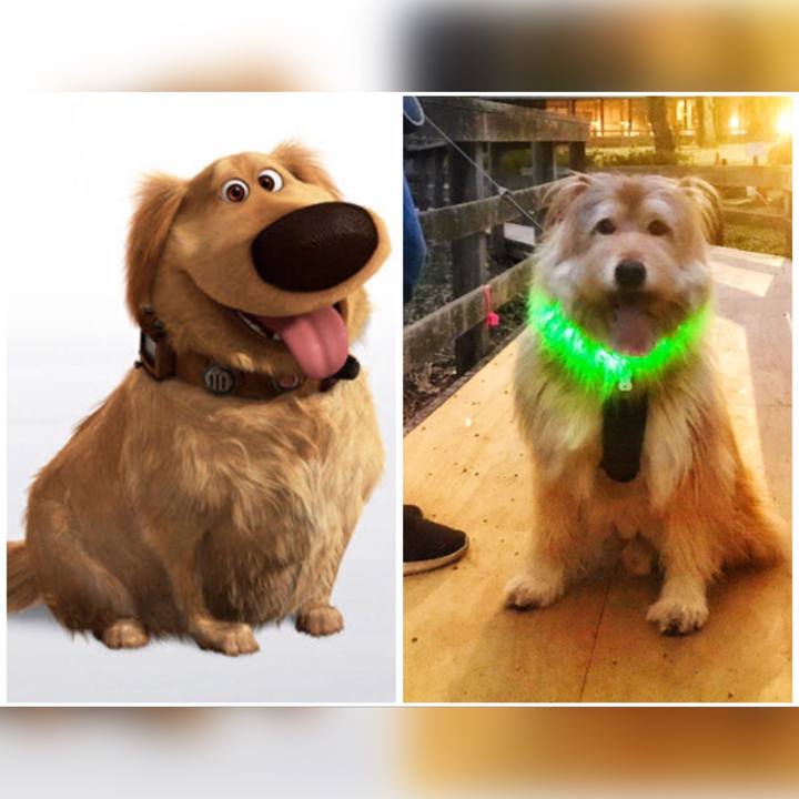 4a55d732 7edb 47d7 bdb6 854532221714 1647995719951