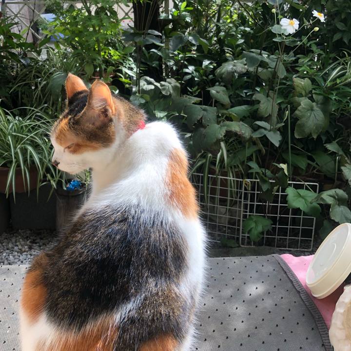 4a55eefd 5ffb 4455 b76b 8f7b97608111 1571538399117