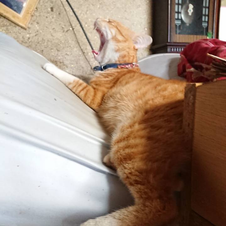 4a55f955 f711 4555 bffd b2018a3ea53d 1563169099829