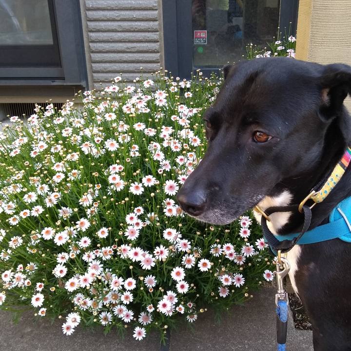 4a562064 dff5 440c a4e1 332b4cc8af4b 1620000818638